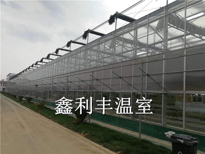 江西九江田园综合体玻璃温室